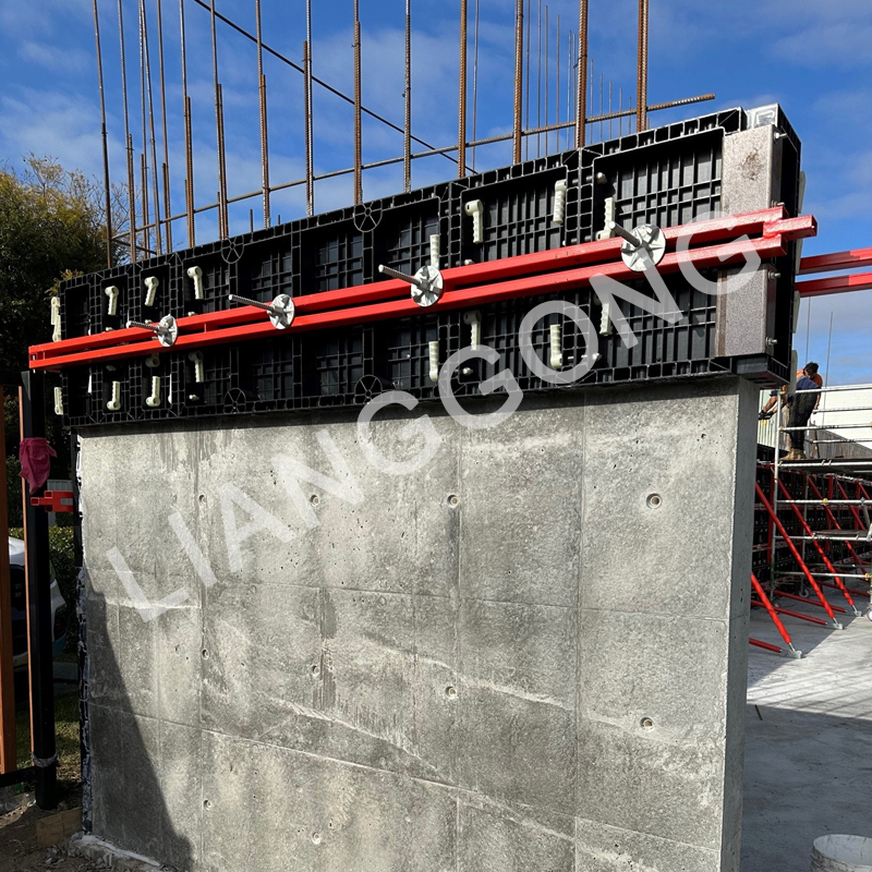 ABS Plastic Moulds Plastic Formwork Plastic Shuttering for Wall Construction and Column Construction
