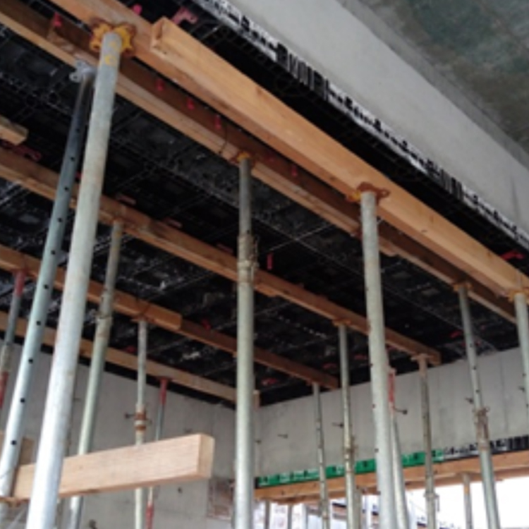 Light Weight China Manufacturer ABS Plastic Formwork for Slabs and Walls