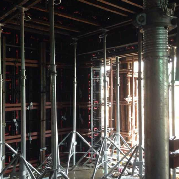 Light Weight China Manufacturer ABS Plastic Formwork for Slabs and Walls