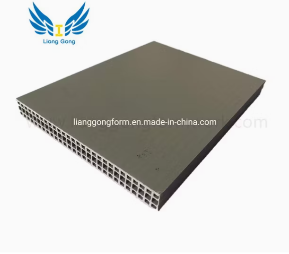 1220x2440 Pp Plastic Panel Formwork For Concrete Construction